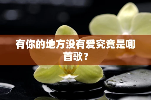 有你的地方没有爱究竟是哪首歌？