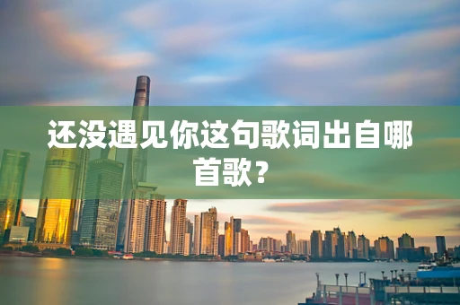 还没遇见你这句歌词出自哪首歌？