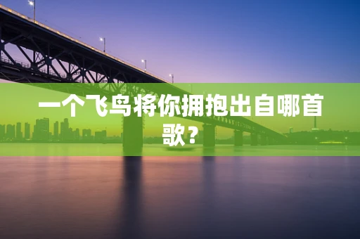 一个飞鸟将你拥抱出自哪首歌？
