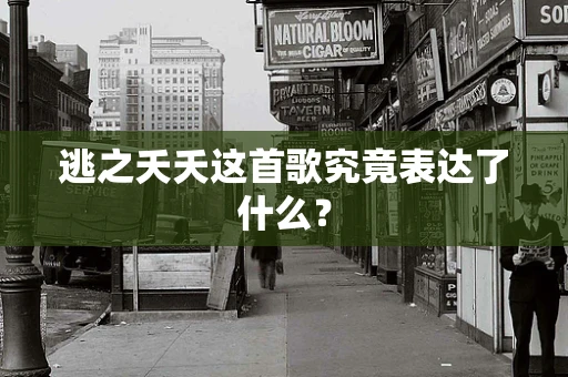 逃之夭夭这首歌究竟表达了什么？
