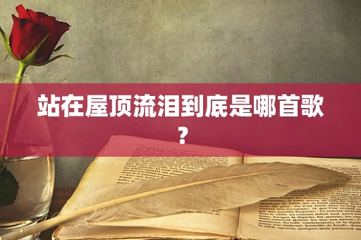站在屋顶流泪到底是哪首歌？