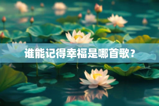 谁能记得幸福是哪首歌？
