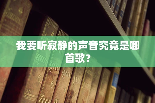 我要听寂静的声音究竟是哪首歌？