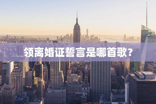 领离婚证誓言是哪首歌？