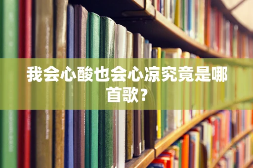 我会心酸也会心凉究竟是哪首歌？