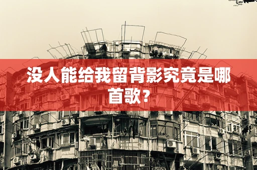 没人能给我留背影究竟是哪首歌？
