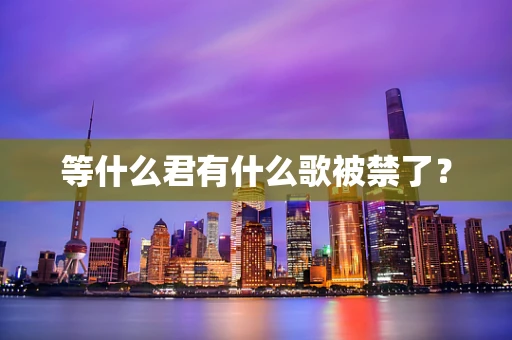 等什么君有什么歌被禁了？