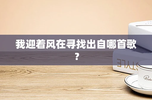 我迎着风在寻找出自哪首歌？