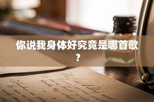 你说我身体好究竟是哪首歌？