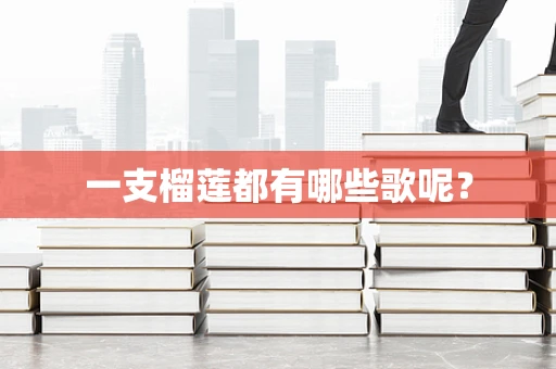 一支榴莲都有哪些歌呢？