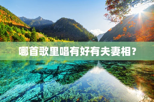 哪首歌里唱有好有夫妻相？