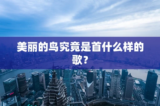 美丽的鸟究竟是首什么样的歌？