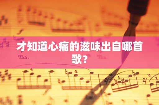 才知道心痛的滋味出自哪首歌？