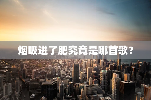 烟吸进了肥究竟是哪首歌？