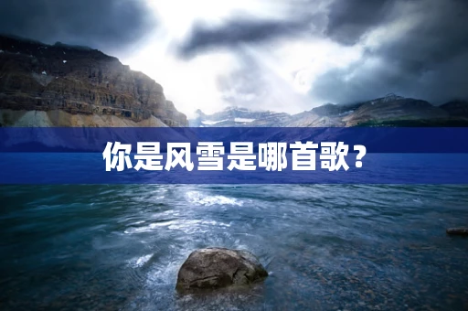 你是风雪是哪首歌？