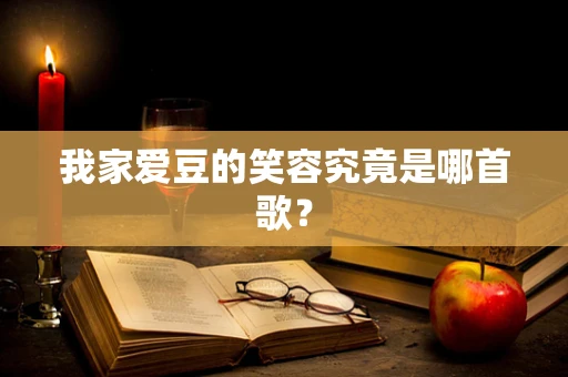 我家爱豆的笑容究竟是哪首歌？