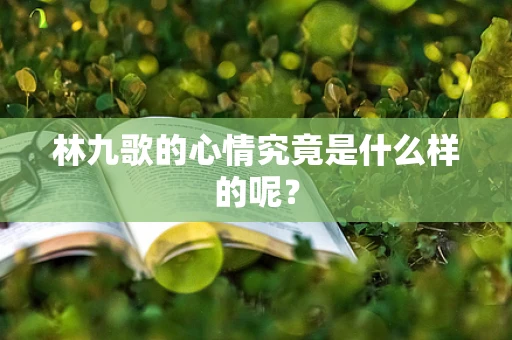 林九歌的心情究竟是什么样的呢？