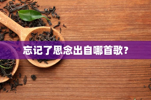 忘记了思念出自哪首歌？