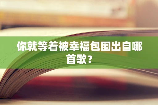 你就等着被幸福包围出自哪首歌？