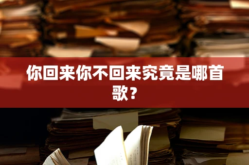 你回来你不回来究竟是哪首歌？