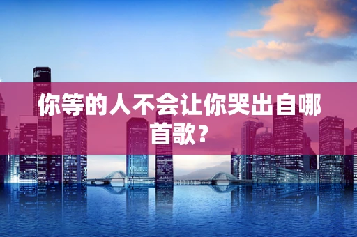 你等的人不会让你哭出自哪首歌？