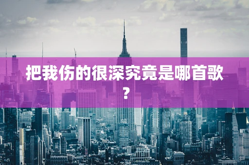 把我伤的很深究竟是哪首歌？