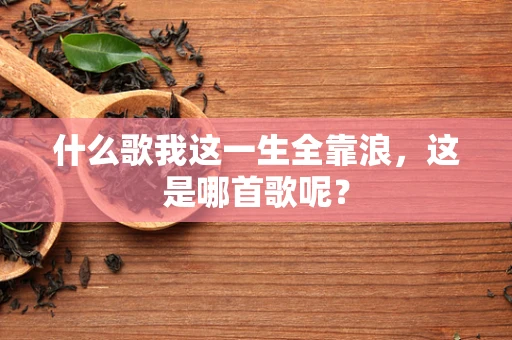 什么歌我这一生全靠浪，这是哪首歌呢？