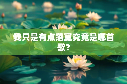 我只是有点落寞究竟是哪首歌？