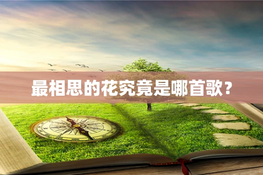 最相思的花究竟是哪首歌？