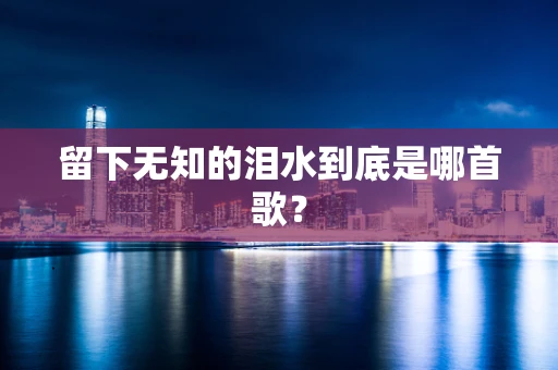 留下无知的泪水到底是哪首歌？