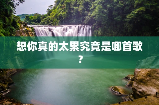 想你真的太累究竟是哪首歌？