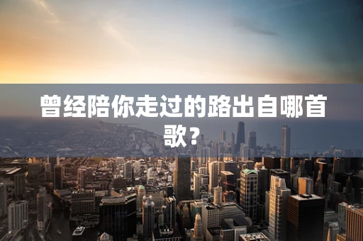曾经陪你走过的路出自哪首歌？