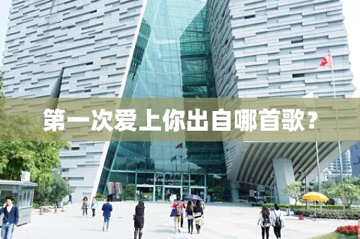 第一次爱上你出自哪首歌？