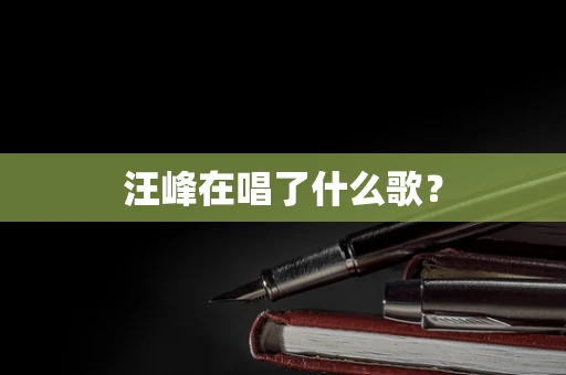 汪峰在唱了什么歌？