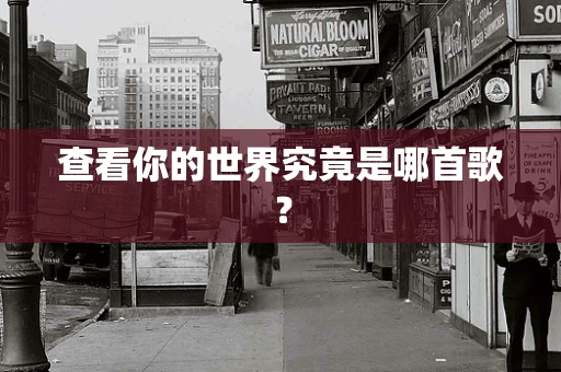 查看你的世界究竟是哪首歌？