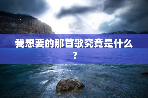 我想要的那首歌究竟是什么？
