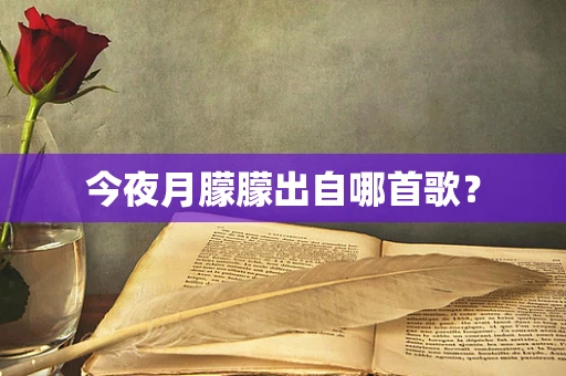 今夜月朦朦出自哪首歌？