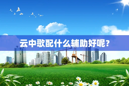 云中歌配什么辅助好呢？