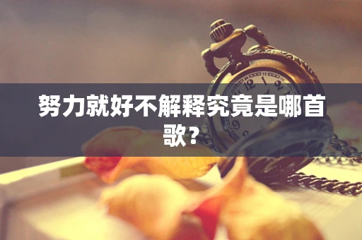 努力就好不解释究竟是哪首歌？