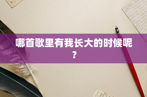 哪首歌里有我长大的时候呢？