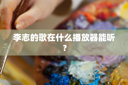李志的歌在什么播放器能听？