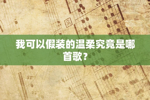 我可以假装的温柔究竟是哪首歌？