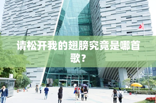 请松开我的翅膀究竟是哪首歌？