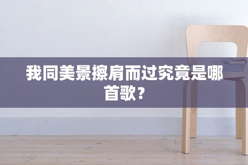 我同美景擦肩而过究竟是哪首歌？