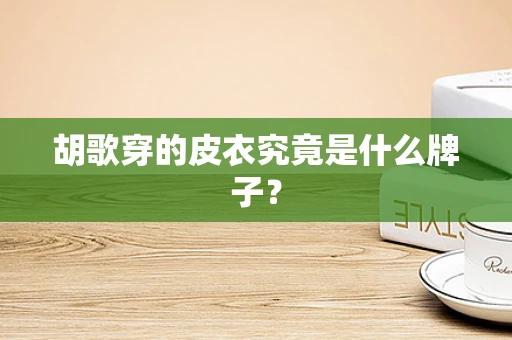 胡歌穿的皮衣究竟是什么牌子？