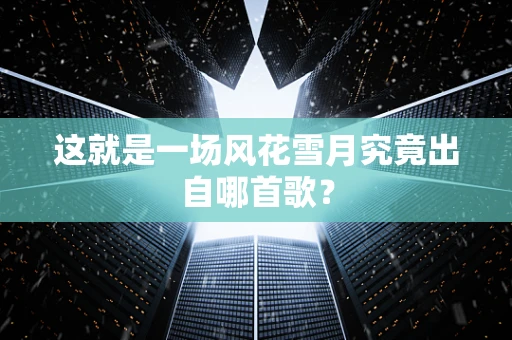 这就是一场风花雪月究竟出自哪首歌？