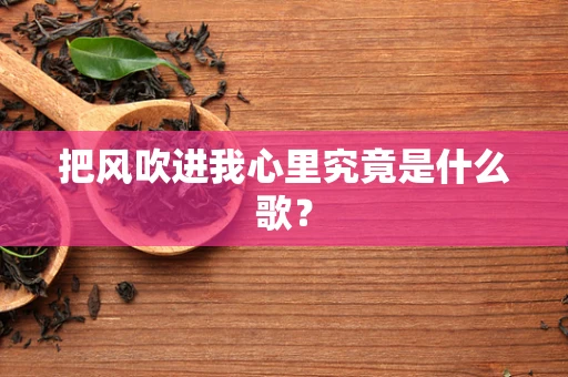 把风吹进我心里究竟是什么歌？