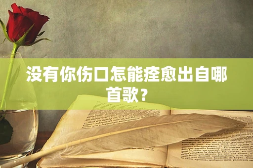 没有你伤口怎能痊愈出自哪首歌？