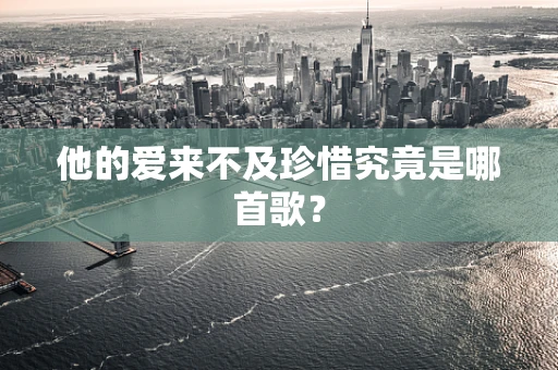 他的爱来不及珍惜究竟是哪首歌？