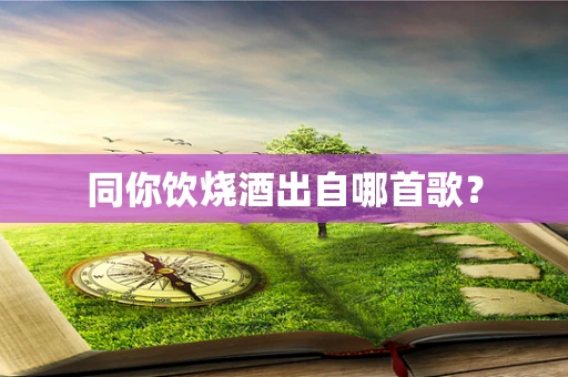 同你饮烧酒出自哪首歌？